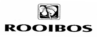 ROOIBOS logo