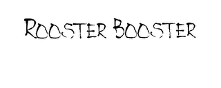 ROOSTER BOOSTER logo