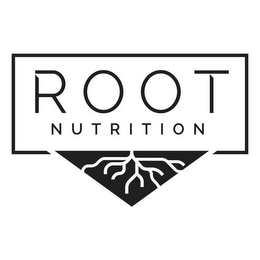 ROOT NUTRITION logo