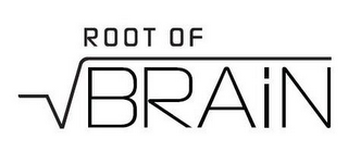 ROOT OF BRAIN logo