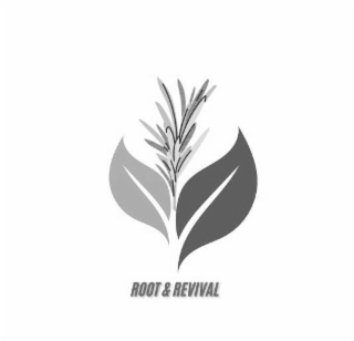 ROOT & REVIVAL logo