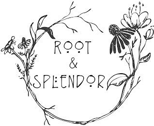 ROOT & SPLENDOR logo