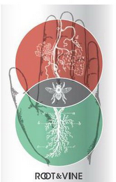 ROOT & VINE logo