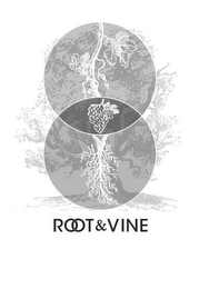 ROOT & VINE logo