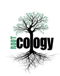 ROOTCOLOGY logo