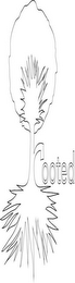 ROOTED logo