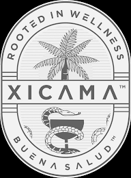 ROOTED IN WELLNESS XICAMA BUENA SALUD logo