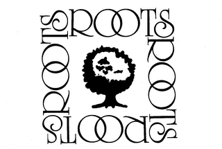 ROOTS logo