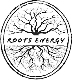 ROOTS ENERGY logo