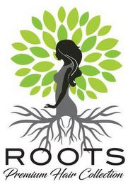 ROOTS PREMIUM HAIR COLLECTION logo