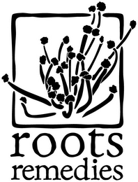 ROOTS REMEDIES logo