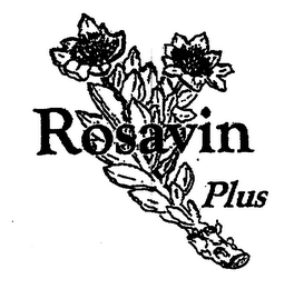 ROSAVIN PLUS logo