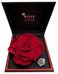 ROSE D'ANVERS logo