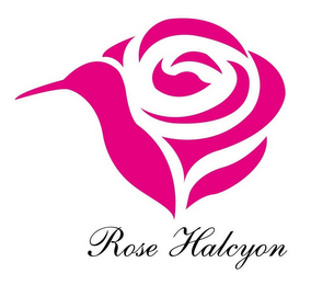 ROSE HALCYON logo