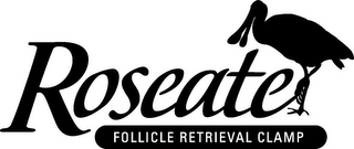 ROSEATE FOLLICLE RETRIEVAL CLAMP logo