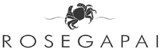 ROSEGAPAI logo