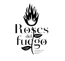ROSES DEL FUEGO ECUADORIAN VOLCANIC ROSES logo