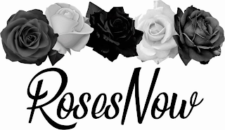 ROSESNOW logo