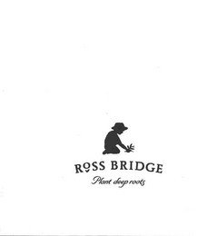ROSS BRIDGE - PLANT DEEP ROOTS logo
