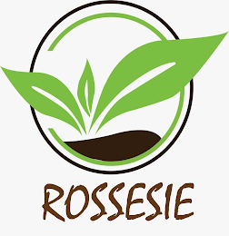 ROSSESIE logo