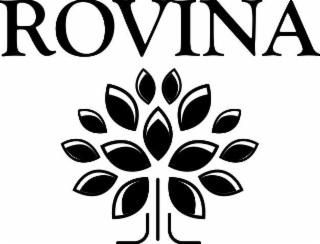ROVINA logo