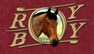 ROY BOY logo