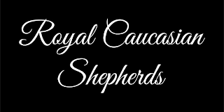 ROYAL CAUCASIAN SHEPHERDS logo