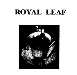 ROYAL LEAF logo