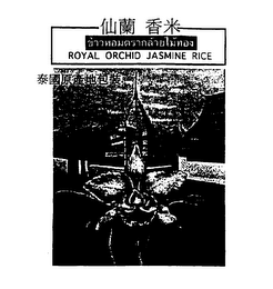 ROYAL ORCHID JASMINE RICE logo