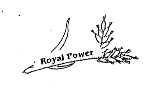 ROYAL POWER logo