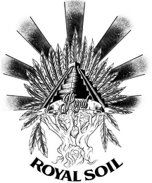ROYAL ROYAL SOIL logo