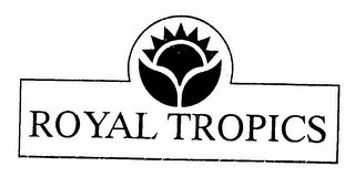 ROYAL TROPICS logo