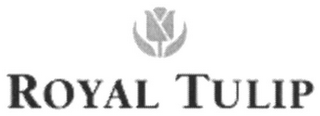 ROYAL TULIP logo