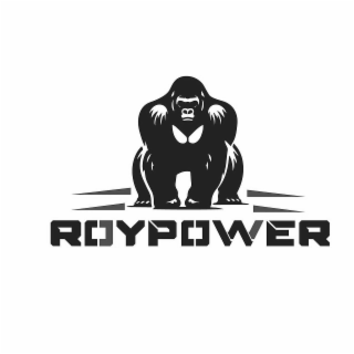 ROYPOWER logo