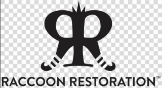 RR RACCOON RESTORATION logo