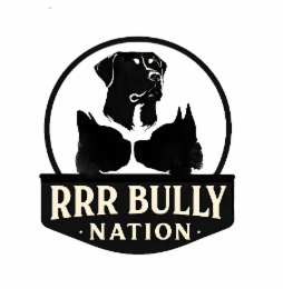 RRR BULLY NATION logo