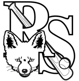RS logo