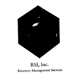 RSI, INC.  RECOVERY MANAGEMENT SERVICES logo
