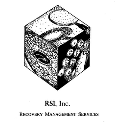RSI, INC. RECOVERY MANAGEMENT SERVICES logo