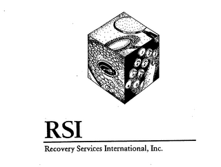 RSI RECOVERY SERVICES INTERNATIONAL, INC. logo
