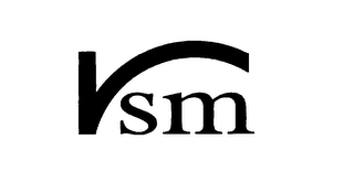 RSM logo