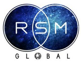 RSM GLOBAL logo