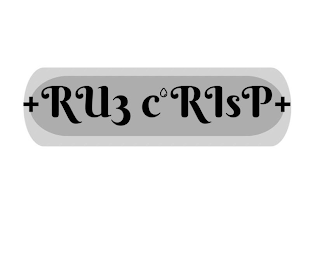 +RU3 C RISP+ logo