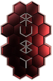 RUBY logo