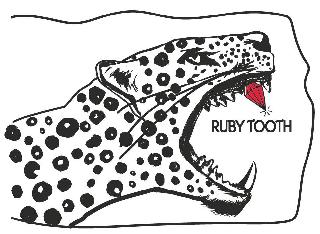 RUBY TOOTH logo