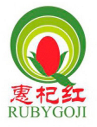 RUBYGOJI logo