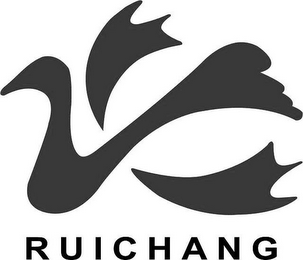 RUICHANG logo