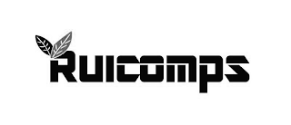 RUICOMPS logo
