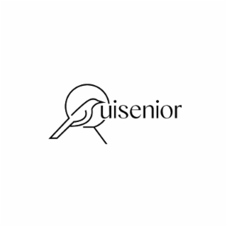 RUISENIOR logo