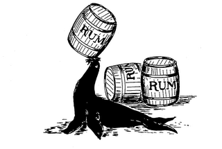 RUM logo